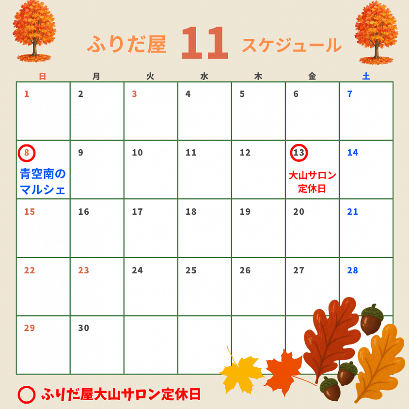 11月スケジュール